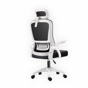 Ergonomic Office Chair