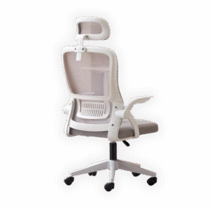 Ergonomic Office Chair