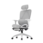Elegant Laurel Oleander Ergonomic Professional Executive Chair - White/Grey