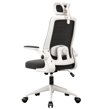 Ergonomic Executive Office chair - White/Black